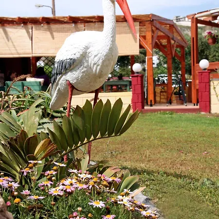 Kos Island Appartement Kéfalos