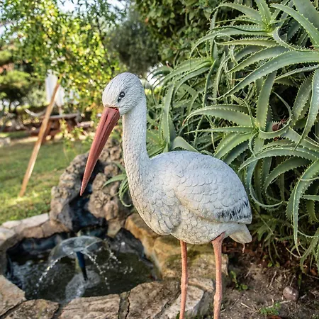 Апартаменты Kos Island Кефалос