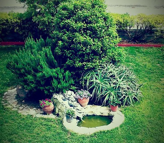 公寓 科斯岛公寓 克法洛斯